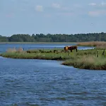 Fuer Vier Personen Im Erdgeschoss By Interhome *