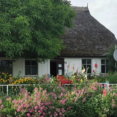 Fuer Vier Personen Im Erdgeschoss By Interhome Lägenhet